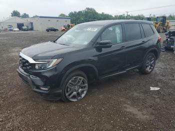  Salvage Honda Passport