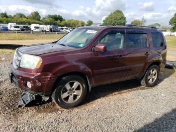  Salvage Honda Pilot