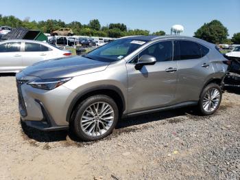  Salvage Lexus NX