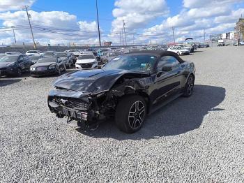  Salvage Ford Mustang