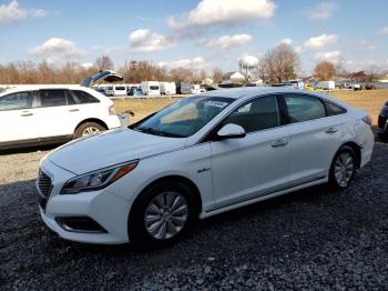  Salvage Hyundai SONATA