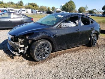  Salvage Tesla Model Y