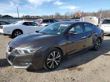  Salvage Nissan Maxima