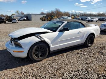  Salvage Ford Mustang