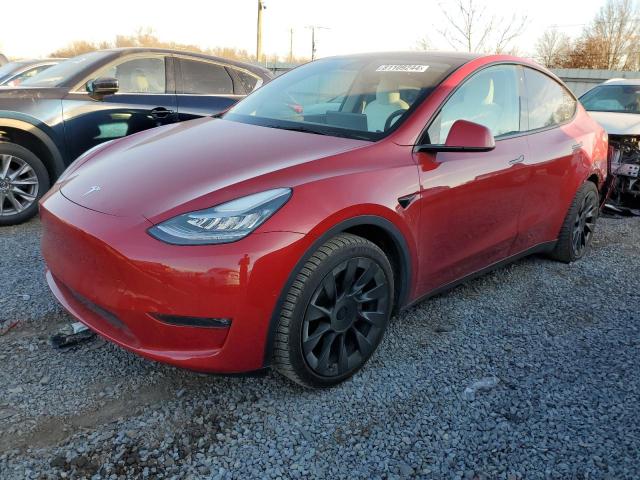  Salvage Tesla Model Y