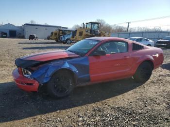  Salvage Ford Mustang