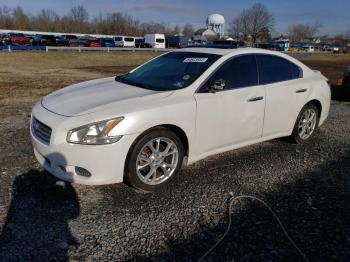  Salvage Nissan Maxima