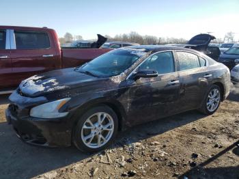  Salvage Nissan Maxima