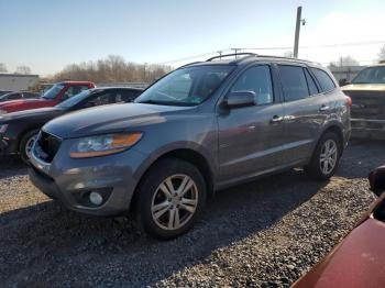  Salvage Hyundai SANTA FE