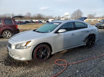  Salvage Nissan Maxima