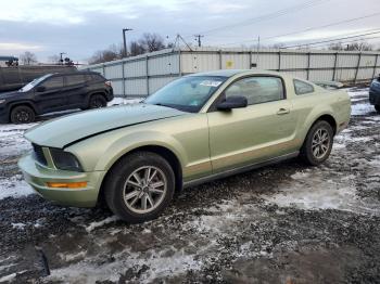  Salvage Ford Mustang