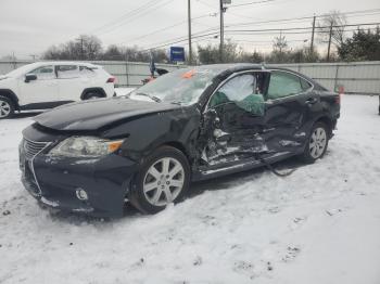  Salvage Lexus Es