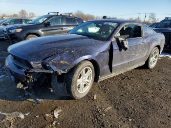  Salvage Ford Mustang