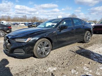  Salvage Acura TLX