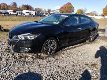  Salvage Nissan Maxima