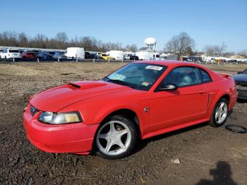  Salvage Ford Mustang