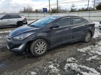  Salvage Hyundai ELANTRA