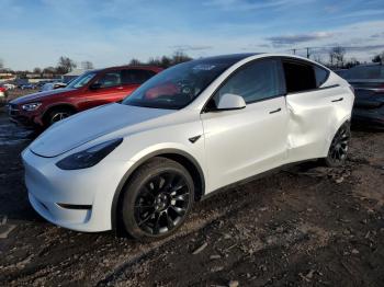  Salvage Tesla Model Y