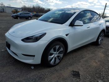  Salvage Tesla Model Y