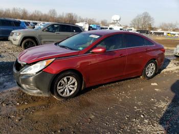  Salvage Hyundai SONATA