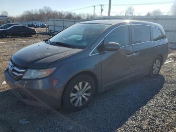  Salvage Honda Odyssey