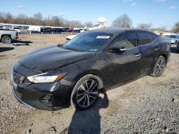  Salvage Nissan Maxima