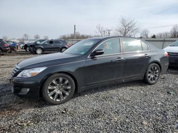  Salvage Hyundai Genesis