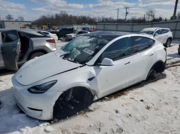  Salvage Tesla Model Y