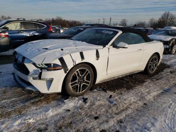  Salvage Ford Mustang