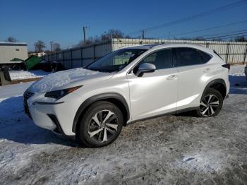  Salvage Lexus NX