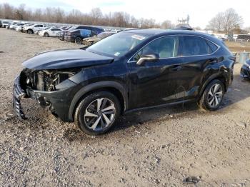  Salvage Lexus NX