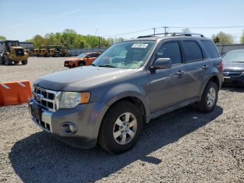  Salvage Ford Escape
