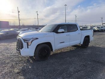  Salvage Toyota Tundra