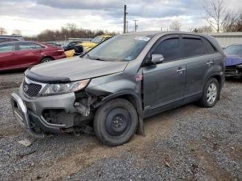  Salvage Kia Sorento