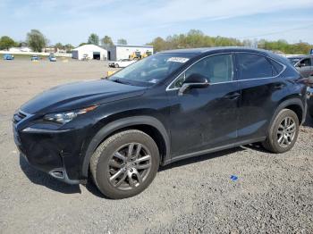  Salvage Lexus NX