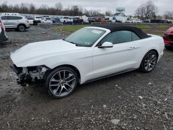  Salvage Ford Mustang