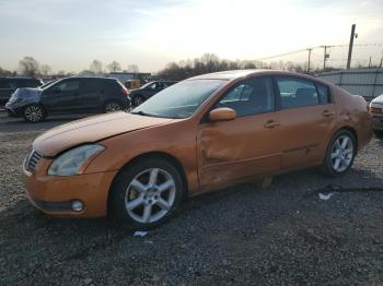  Salvage Nissan Maxima