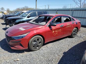  Salvage Hyundai ELANTRA