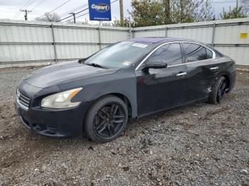 Salvage Nissan Maxima