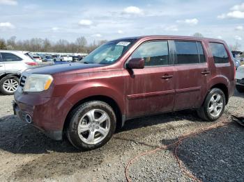  Salvage Honda Pilot