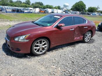  Salvage Nissan Maxima