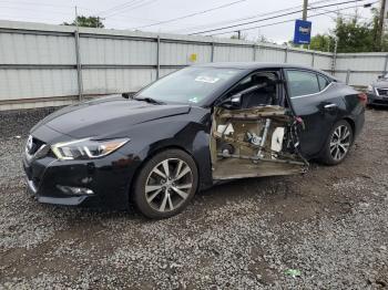  Salvage Nissan Maxima