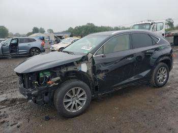  Salvage Lexus NX