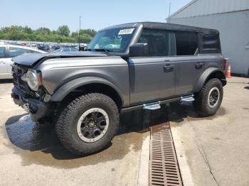  Salvage Ford Bronco