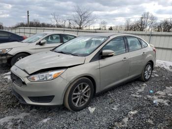  Salvage Ford Focus