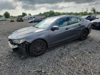  Salvage Acura TLX