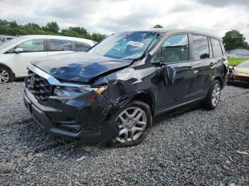  Salvage Honda Passport