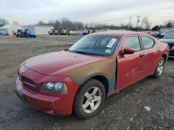 Salvage Dodge Charger