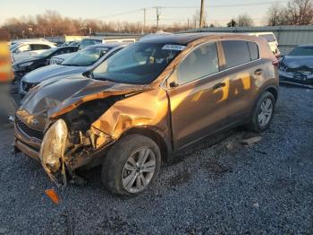  Salvage Kia Sportage