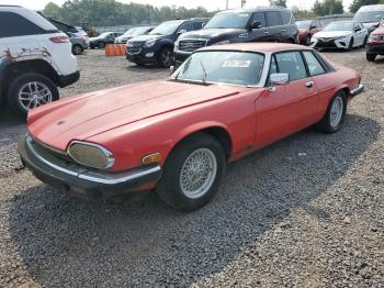  Salvage Jaguar Xjs